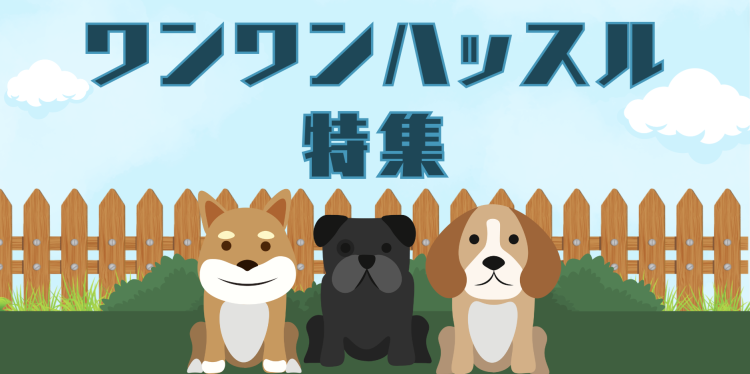 カワイイがいっぱい！ワンダーランド